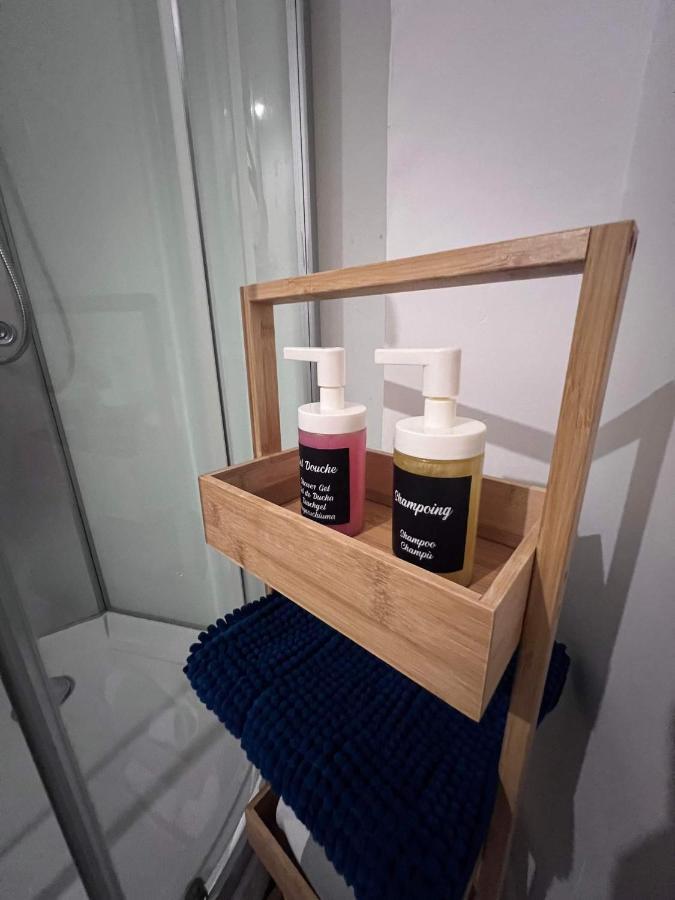 Charmant Appartement Climatise Aux Pieds De La Cite Καρκασόν Εξωτερικό φωτογραφία