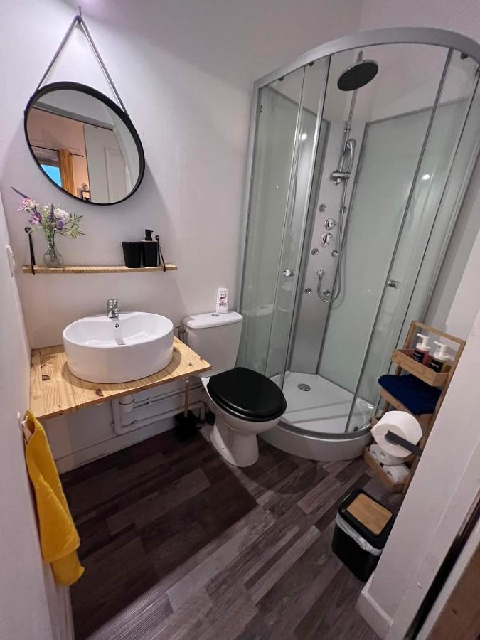 Charmant Appartement Climatise Aux Pieds De La Cite Καρκασόν Εξωτερικό φωτογραφία