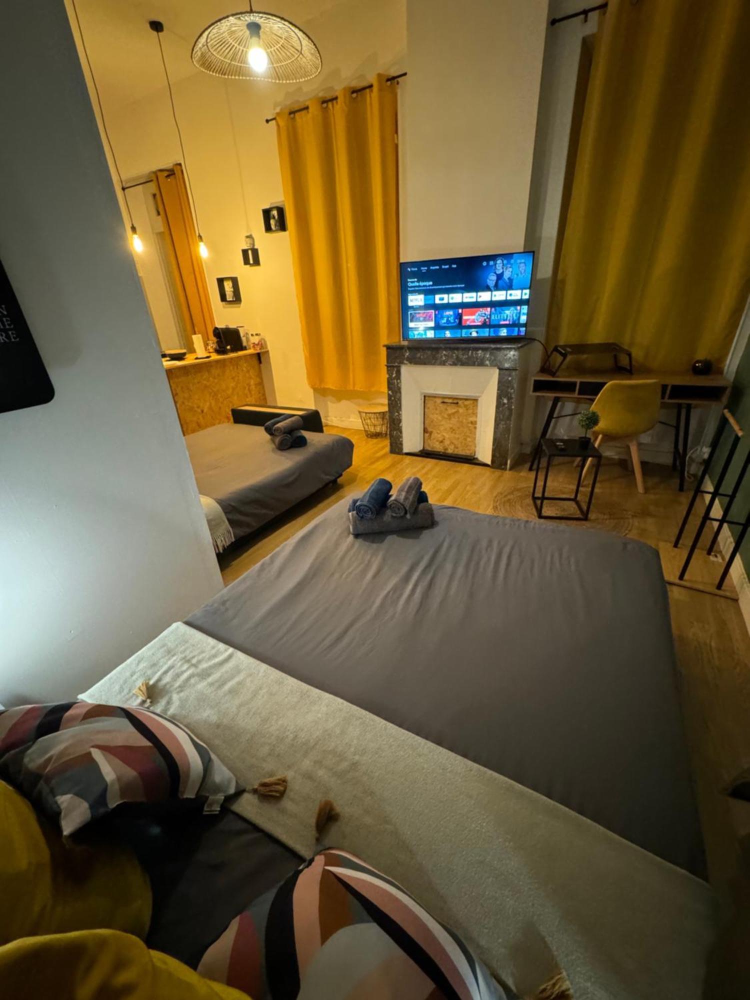 Charmant Appartement Climatise Aux Pieds De La Cite Καρκασόν Εξωτερικό φωτογραφία