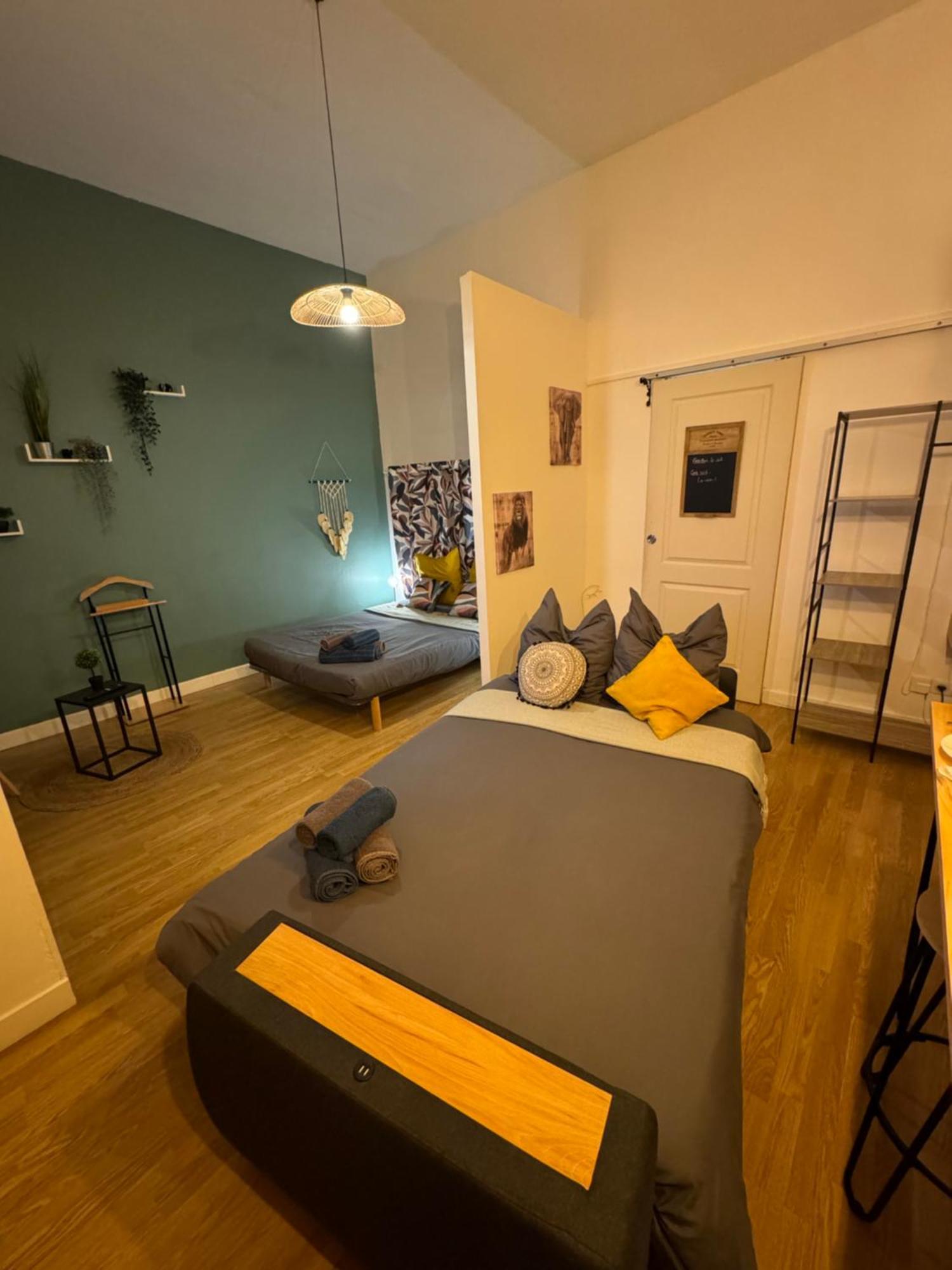 Charmant Appartement Climatise Aux Pieds De La Cite Καρκασόν Εξωτερικό φωτογραφία