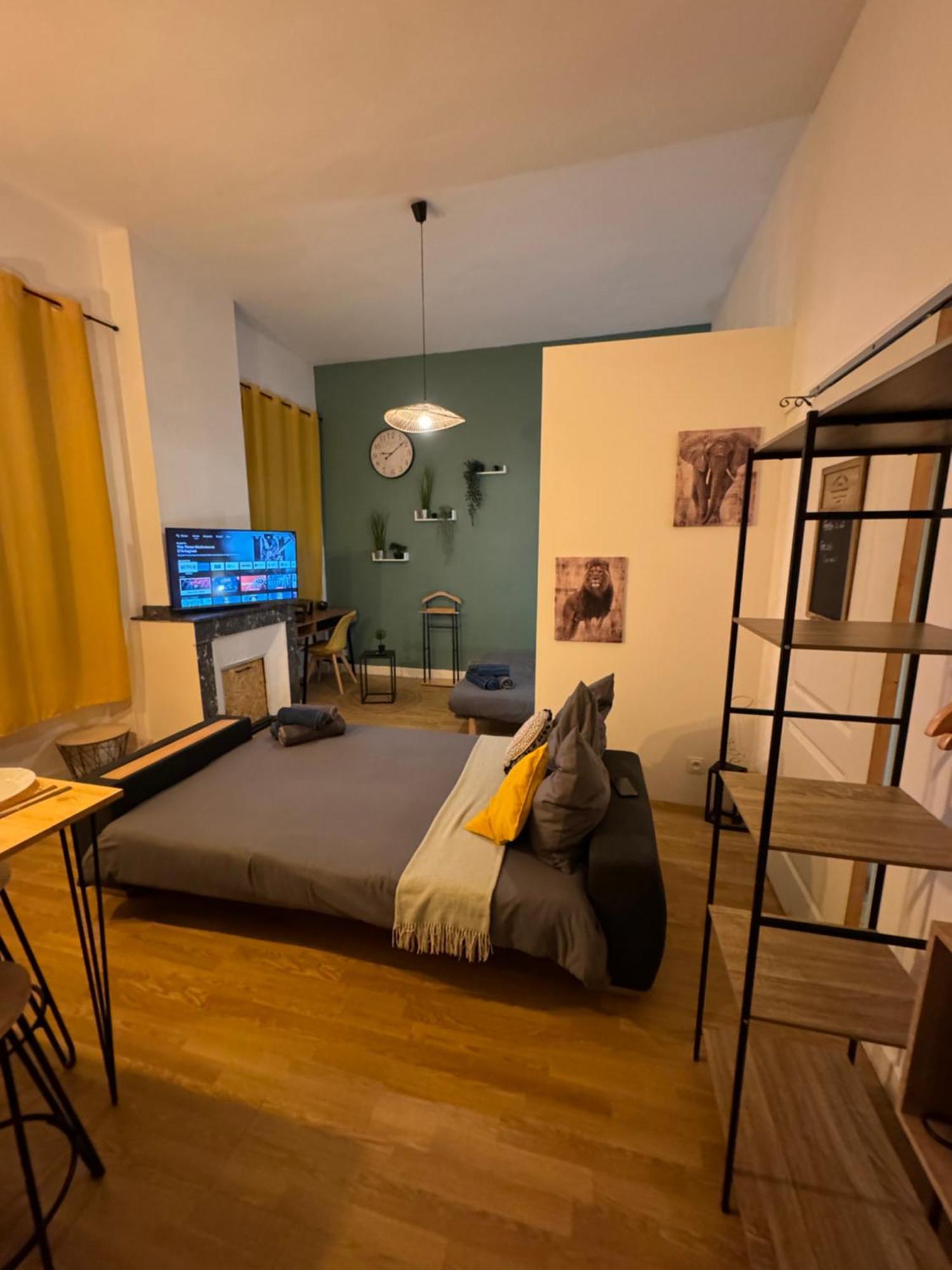 Charmant Appartement Climatise Aux Pieds De La Cite Καρκασόν Εξωτερικό φωτογραφία