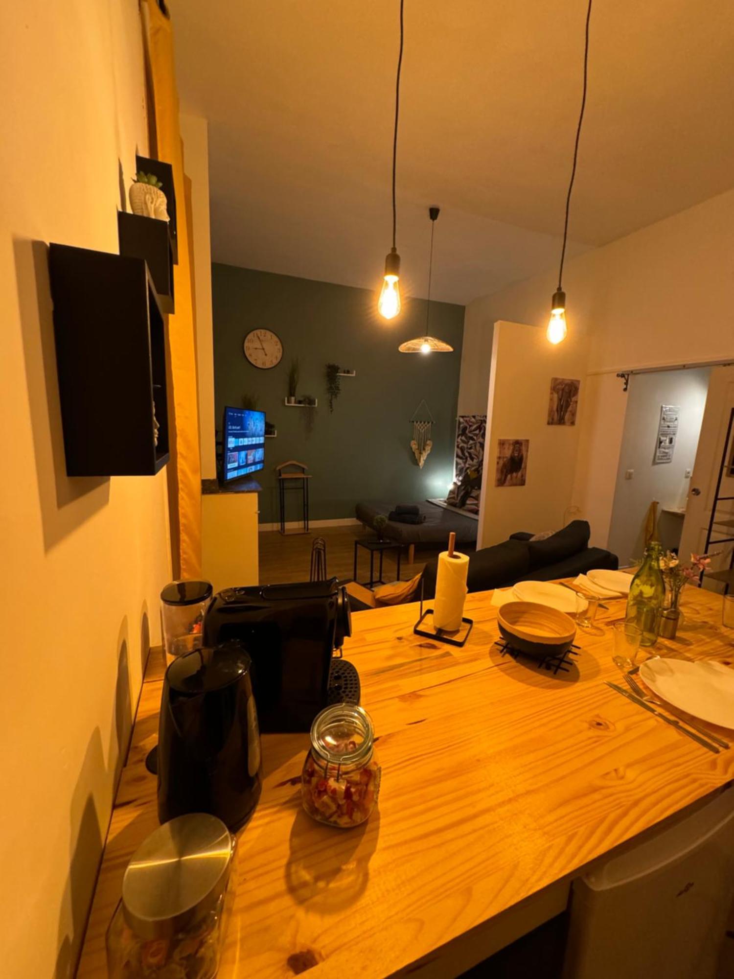 Charmant Appartement Climatise Aux Pieds De La Cite Καρκασόν Εξωτερικό φωτογραφία