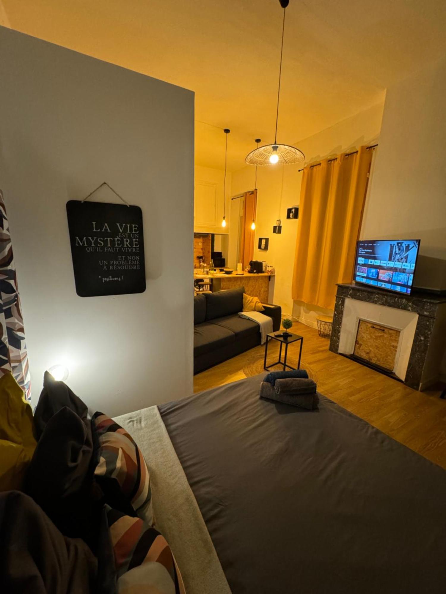 Charmant Appartement Climatise Aux Pieds De La Cite Καρκασόν Εξωτερικό φωτογραφία