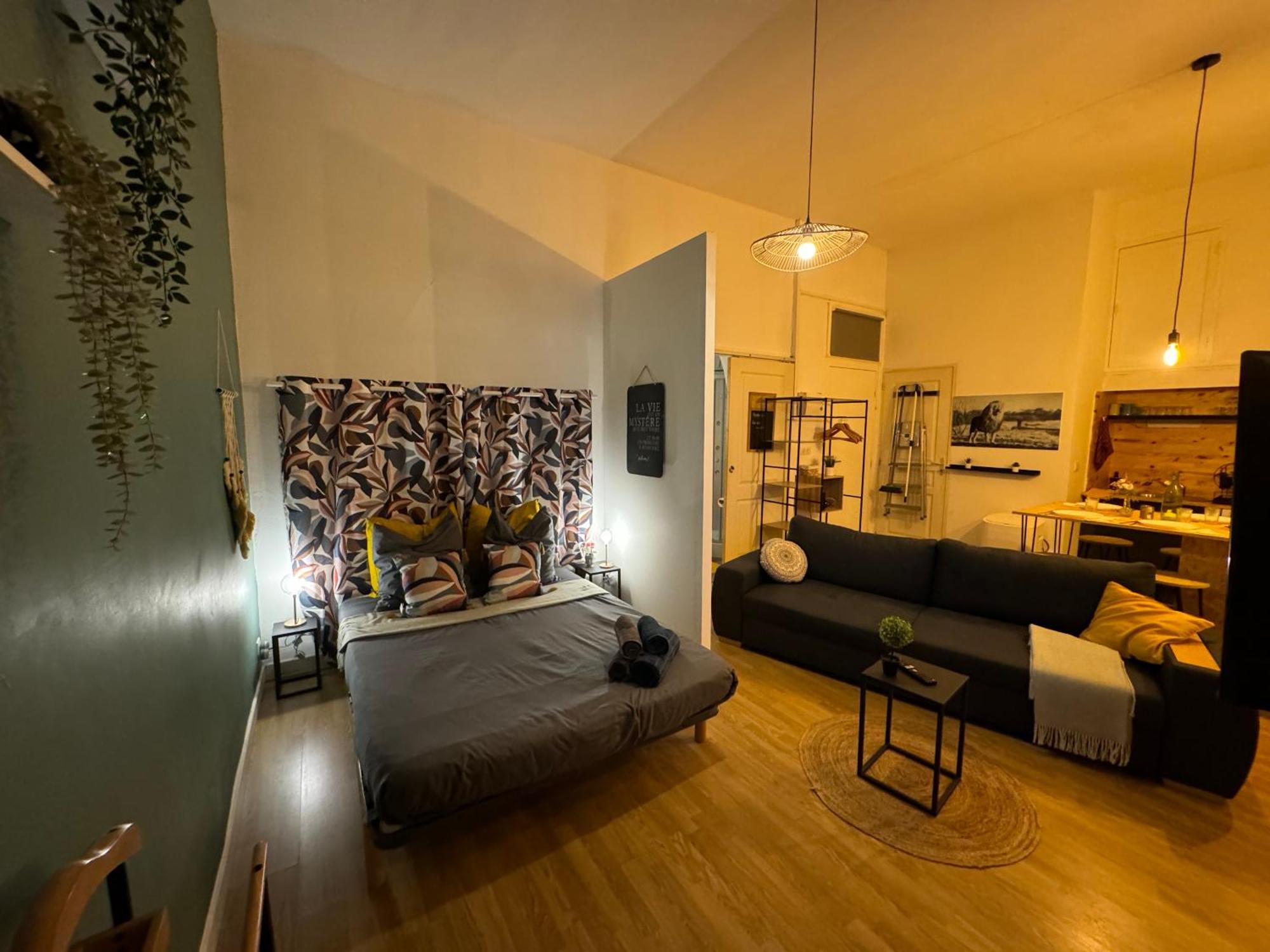 Charmant Appartement Climatise Aux Pieds De La Cite Καρκασόν Εξωτερικό φωτογραφία